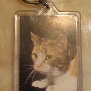 Calico Cat Keyring Plastic Case (F41)